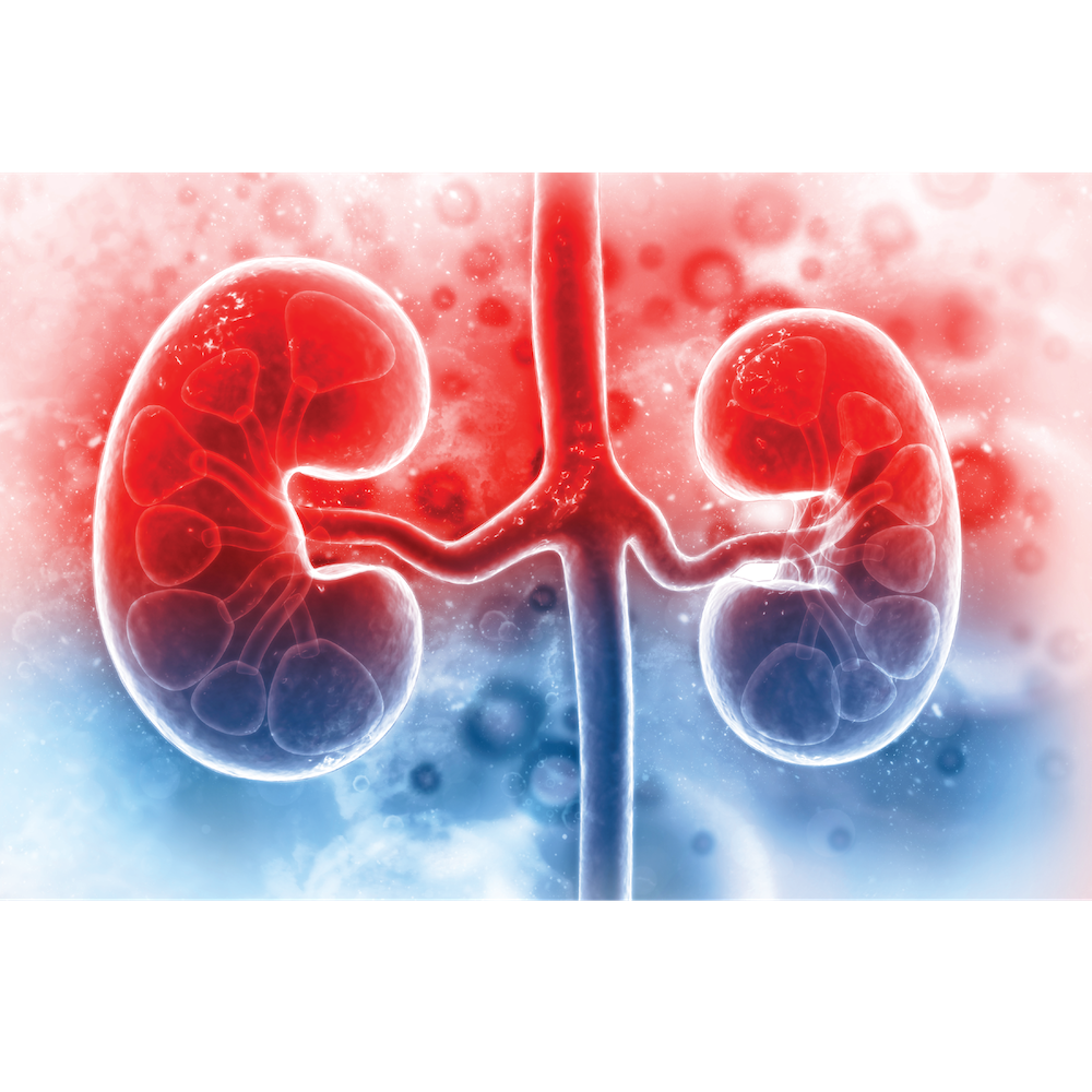 Kidney Health